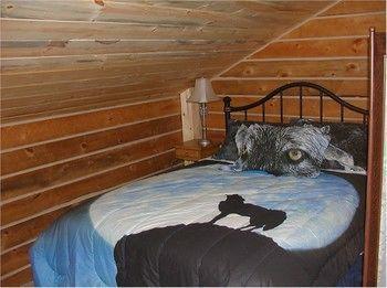 Papoose Villa Custer Bagian luar foto